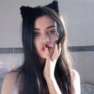 心动小猫破解版下载
